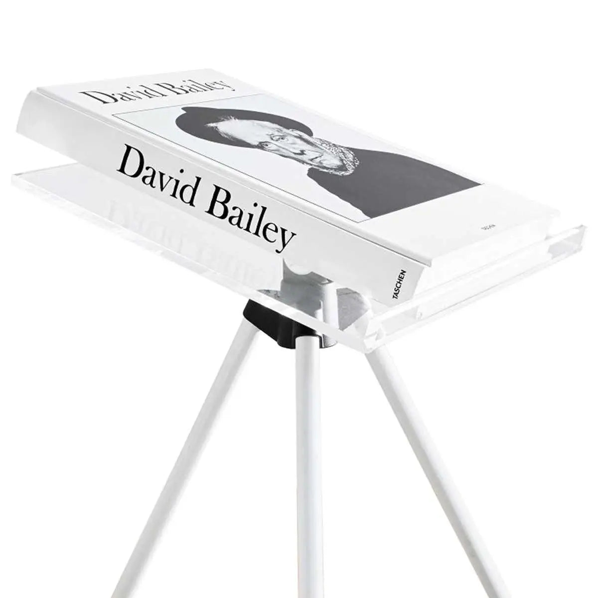 The David Bailey SUMO – dialog