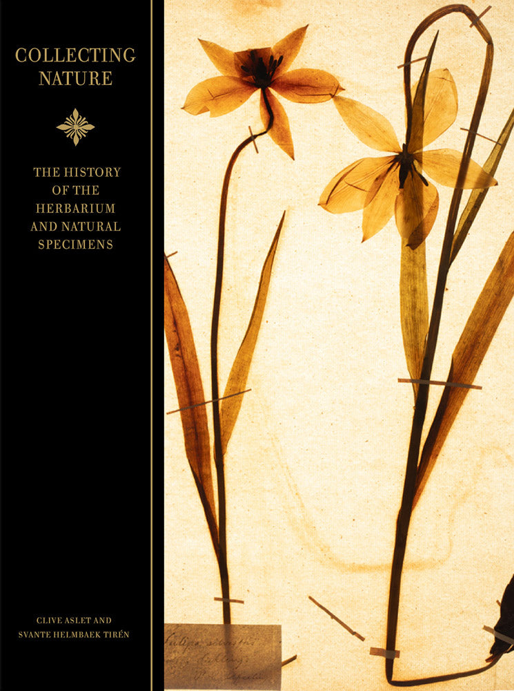 Collecting Nature The History of the Herbarium and Natural Specimens