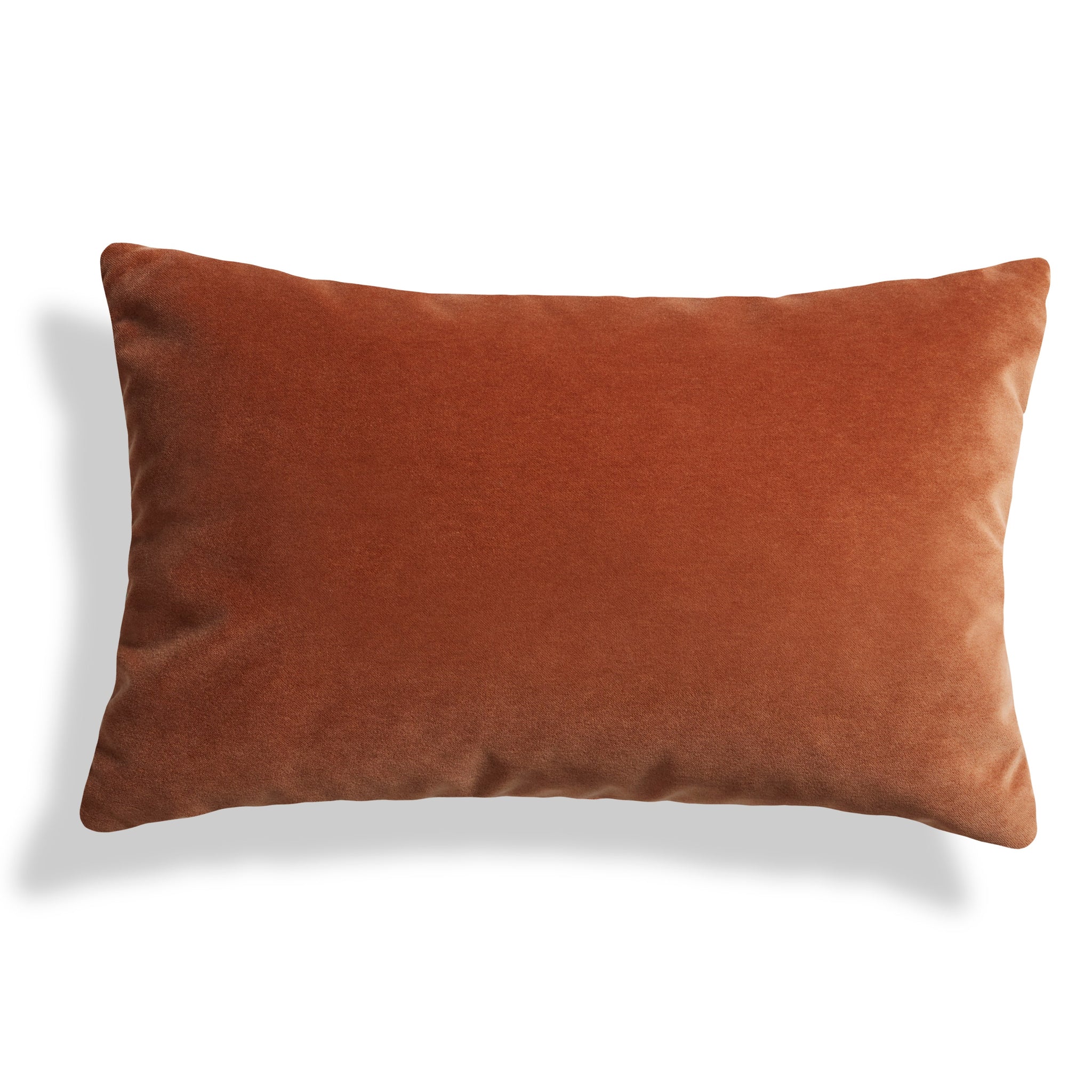 Signal 20" x 13" Lumbar Pillow