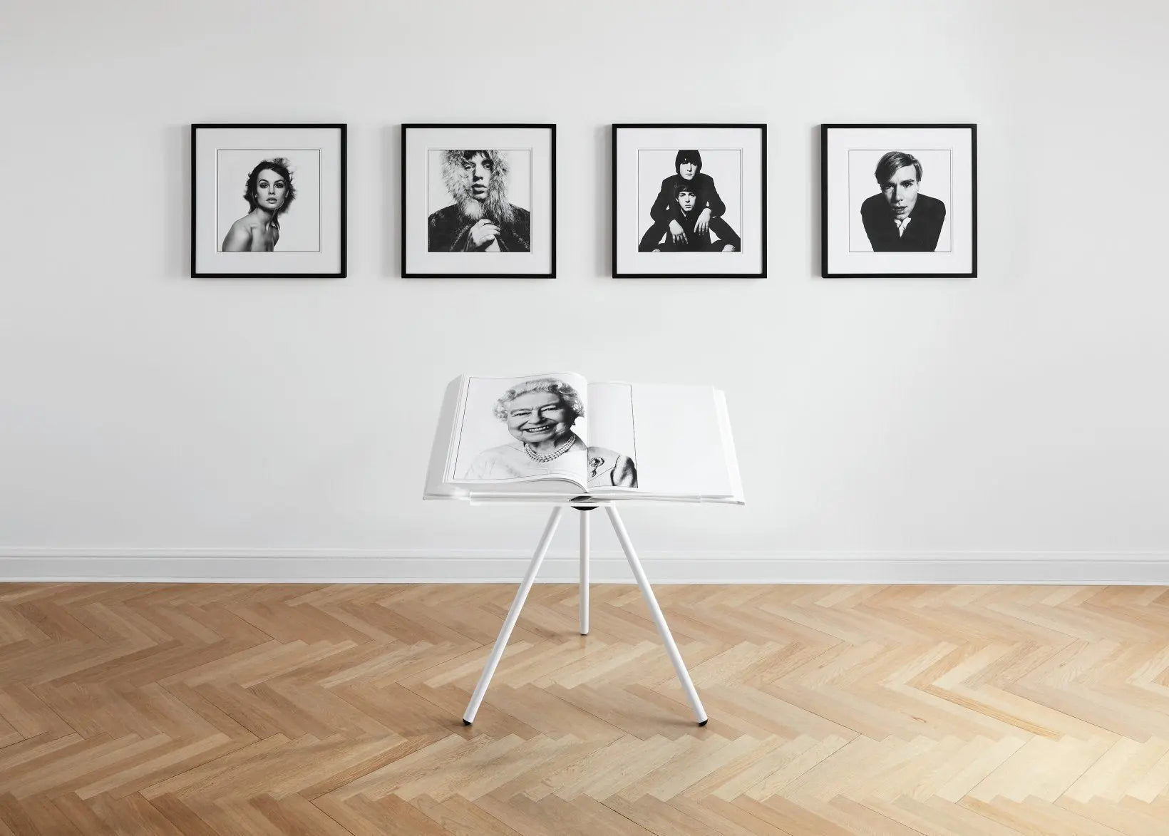 The David Bailey SUMO – dialog